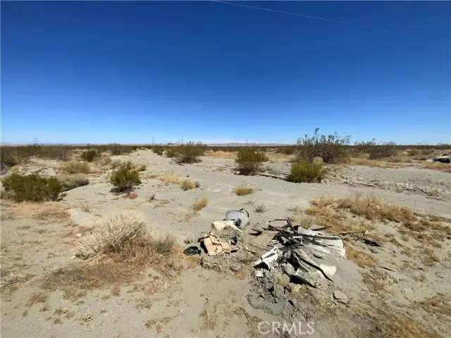 0 Oasis, Pinon Hills, CA 92372 - #3