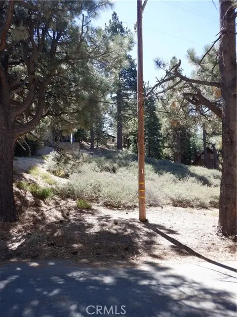 0 Wild Rose, Green Valley Lake, CA 92341 - #3