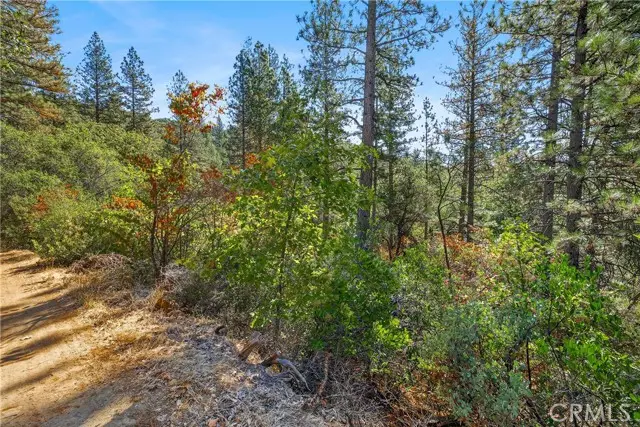 17865 Ponderosa, Oroville, CA 95966 - #3