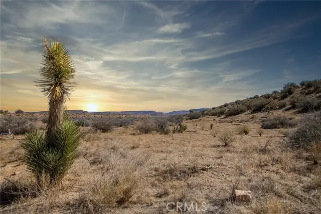 50600 Burns Canyon Road, Pioneertown, CA 92268 - #1