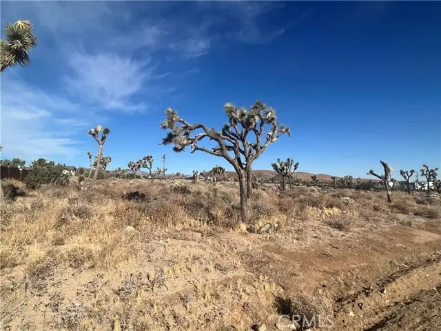 111 Wallaby, Yucca Valley, CA 92284 - #1