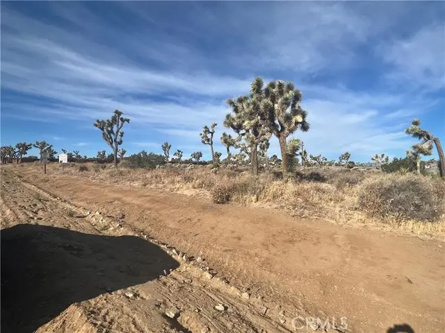 111 Wallaby, Yucca Valley, CA 92284 - #2