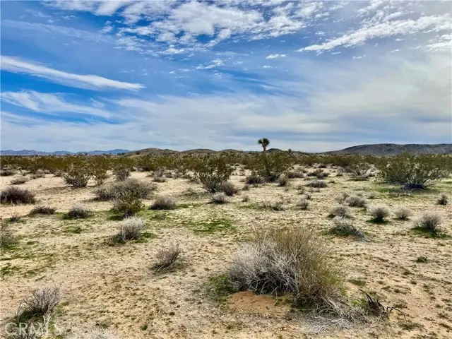 0 Willies Way, Landers, CA 92285 - #1