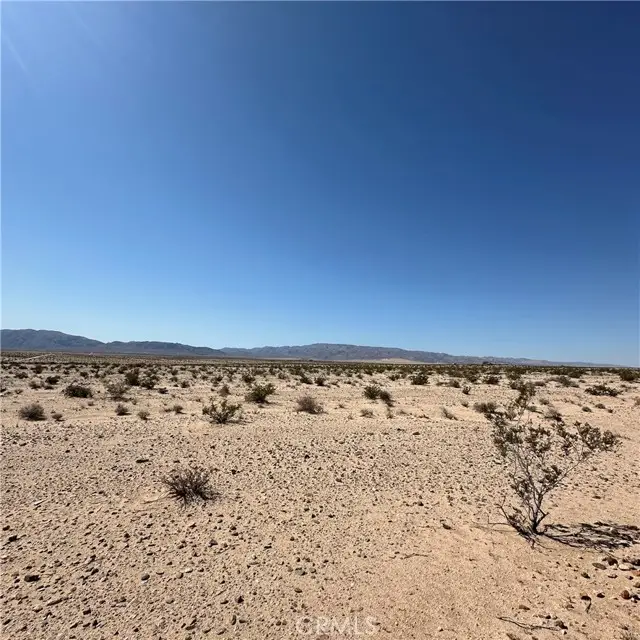 1234 Taco Drive, Twentynine Palms, CA 92277 - #2