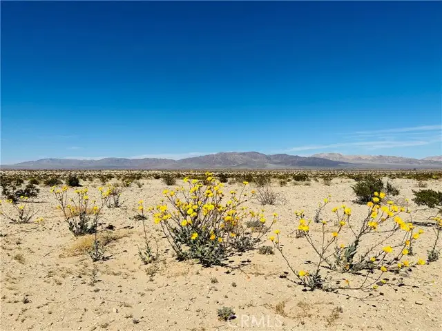 0 Near Shelton Road, Twentynine Palms, CA 92277 - #2