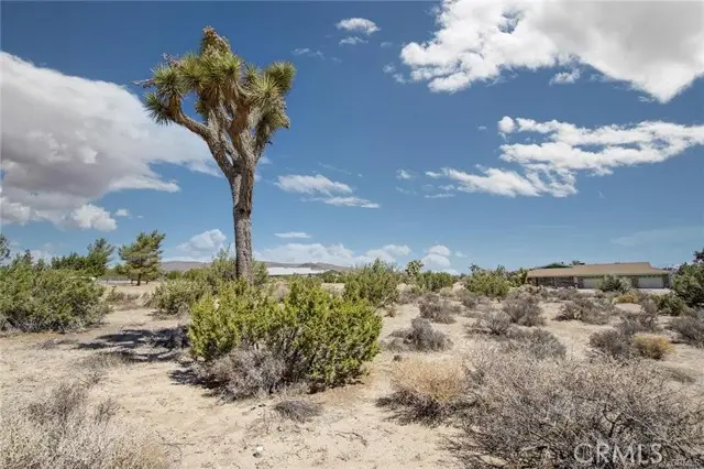 999 Grand Avenue, Yucca Valley, CA 92284 - #1
