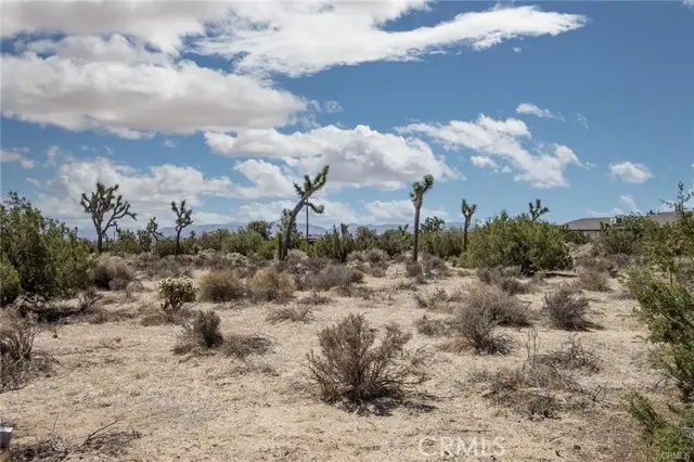 999 Grand Avenue, Yucca Valley, CA 92284 - #3