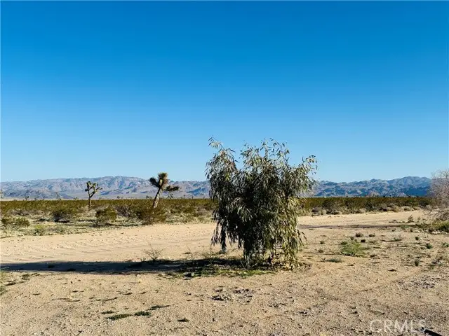 1974 Sunset Road, Joshua Tree, CA 92252 - #2