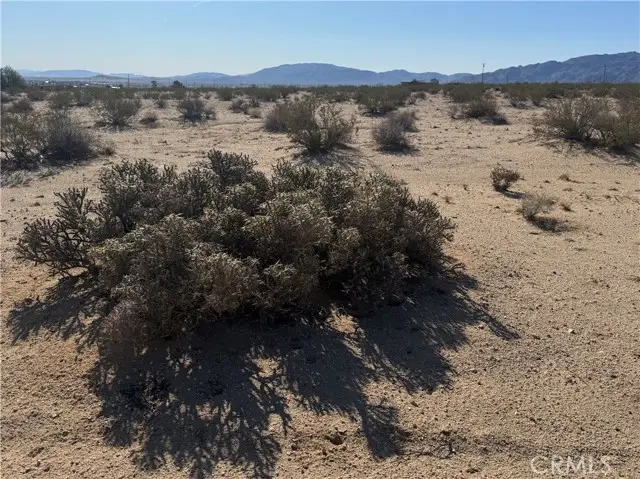 3492 Meldora Avenue, Twentynine Palms, CA 92277 - #3