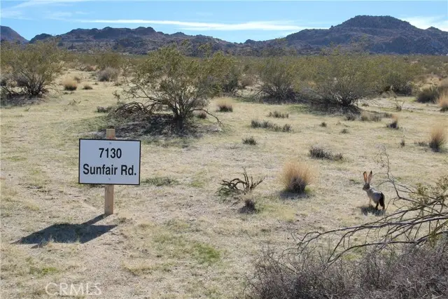7130 Sunfair Road, Joshua Tree, CA 92252 - #2