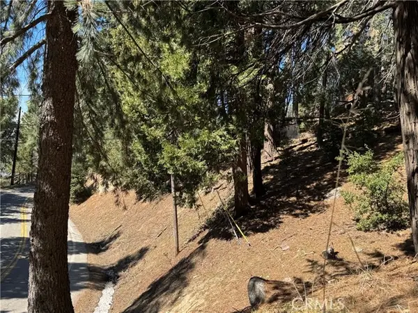 0 North Road, Twin Peaks, CA 92391