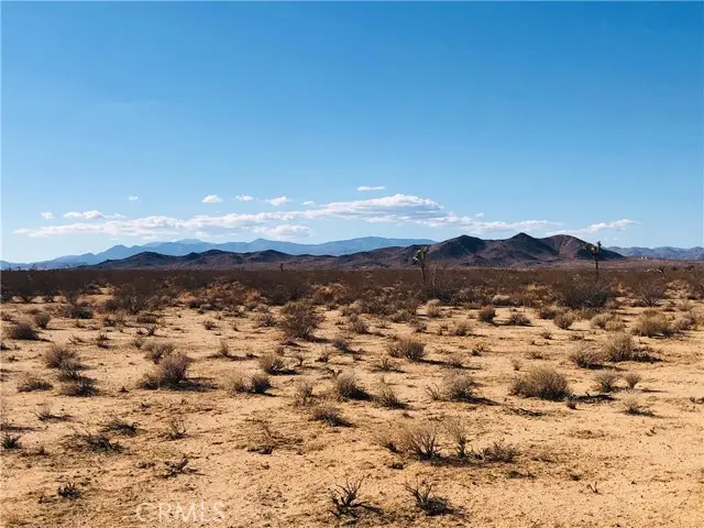 2 Venus Street, Joshua Tree, CA 92252 - #2