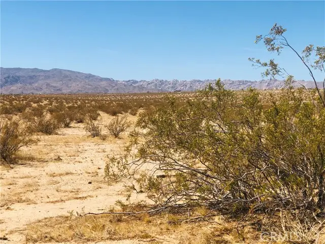 0 El Sando Lane, Twentynine Palms, CA 92277 - #1