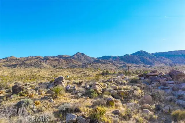 62570 Turtle Road, Joshua Tree, CA 92252 - #2