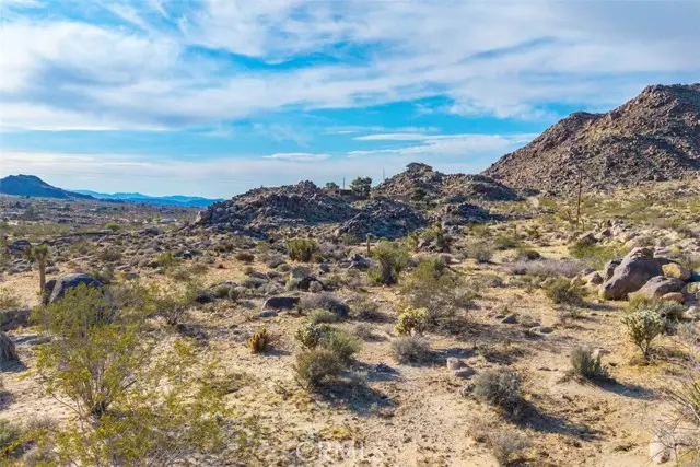 62570 Turtle Road, Joshua Tree, CA 92252 - #3