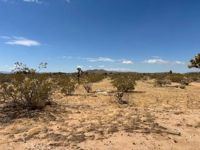 1 Mitch Road, Yucca Valley, CA 92284 - #3