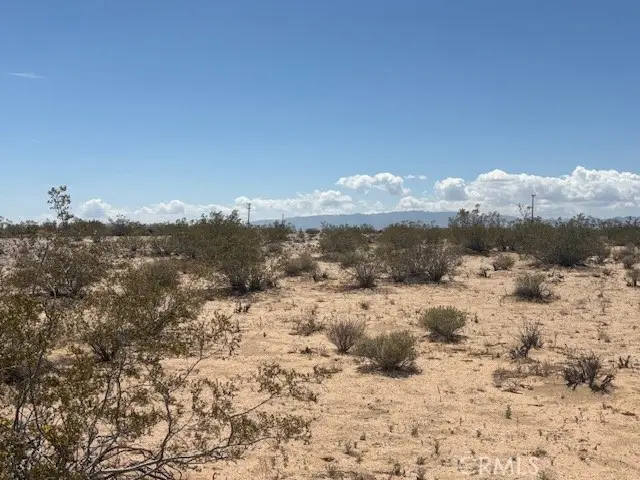 0 Daisy Lane, Joshua Tree, CA 92252 - #1