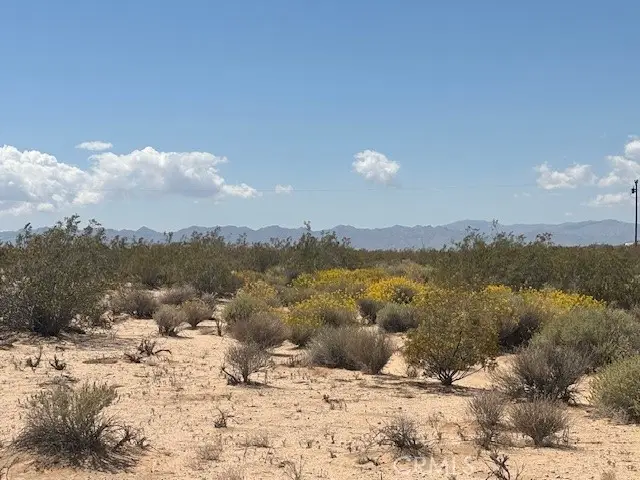0 Daisy Lane, Joshua Tree, CA 92252 - #2