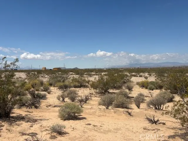 0 Daisy Lane, Joshua Tree, CA 92252 - #3
