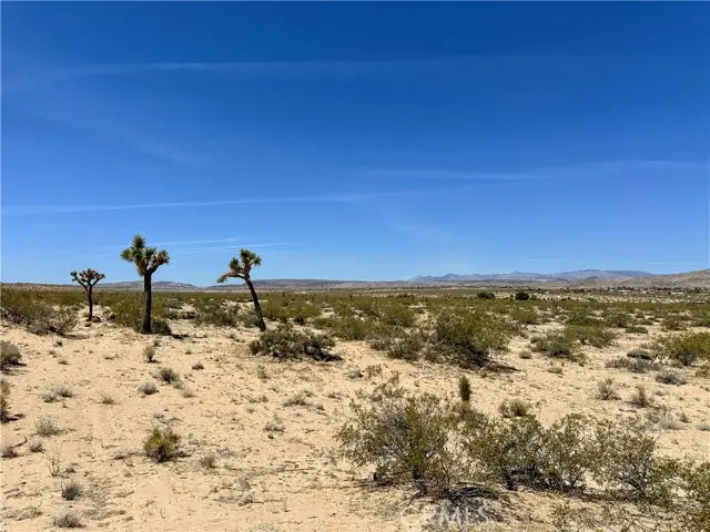 0 Amargo Road, Landers, CA 92285 - #1