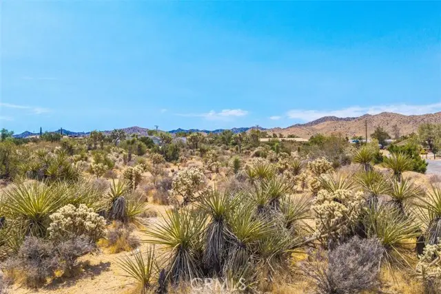 1234 Ivanhoe Drive, Yucca Valley, CA 92284 - #2