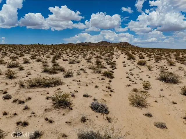 63840 Desert Lily Street, Joshua Tree, CA 92252 - #3