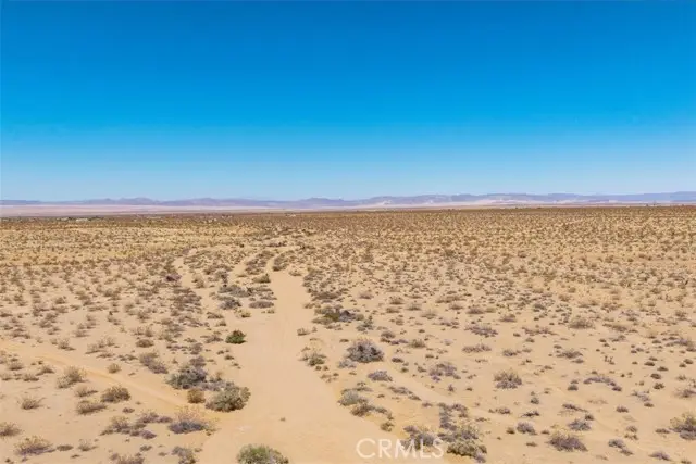 411 Willie Way, Joshua Tree, CA 92252 - #2