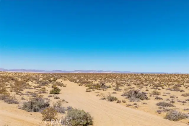 411 Willie Way, Joshua Tree, CA 92252 - #3