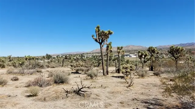 12345 Yucca Vista Avenue, Yucca Valley, CA 92284 - #1