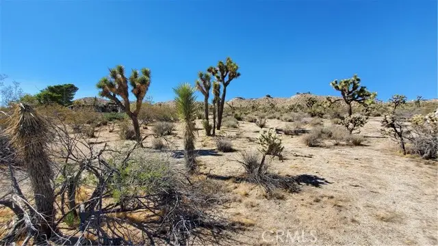 12345 Yucca Vista Avenue, Yucca Valley, CA 92284 - #3