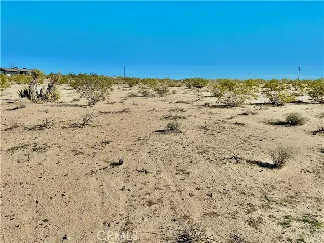 0 0 North of Sonora, Joshua Tree, CA 92252 - #2