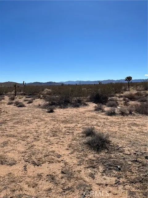 0 Avalon, Landers, CA 92285 - #1