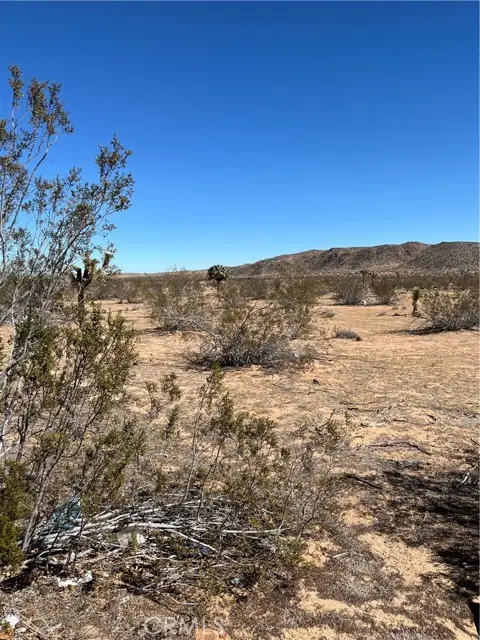 0 Avalon, Landers, CA 92285 - #2