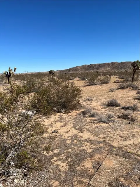 0 Avalon, Landers, CA 92285 - #3