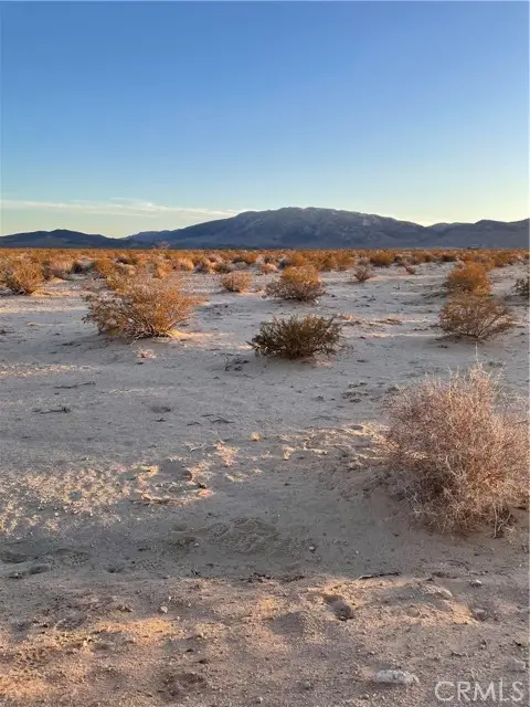 78201 Two Mile Rd, Twentynine Palms, CA 92277 - #2