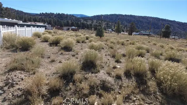 777 Old Pioneer Town, Big Bear City, CA 92314 - Image #3