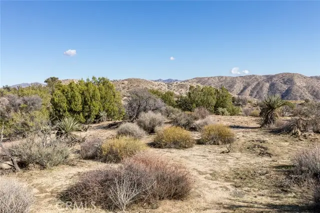 0 Magnolia Drive, Morongo Valley, CA 92256 - #2