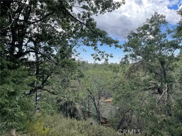 33462 Angeles Drive, Green Valley Lake, CA 92341 - #3