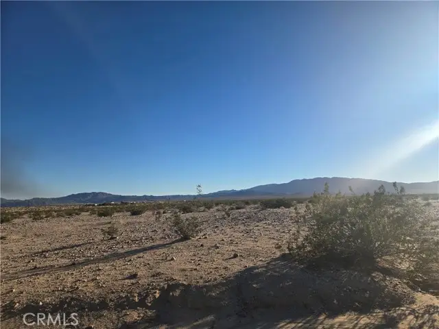 1234 Amboy Road, Twentynine Palms, CA 92277 - #2