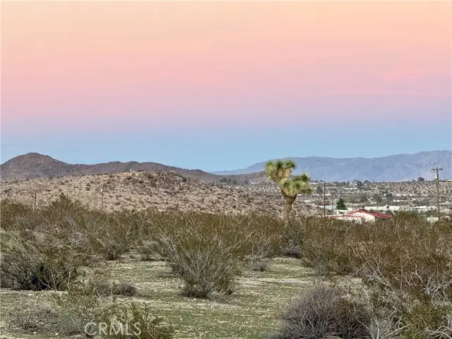 0 Campanula Street, Joshua Tree, CA 92252 - #2