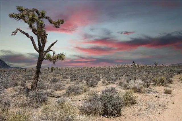 52552 Gamma Gulch, Yucca Valley, CA 92284 - #1