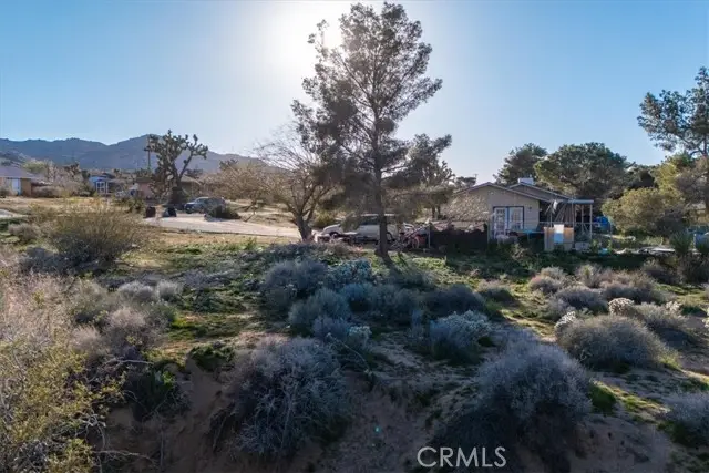 60432 Latham Trail, Joshua Tree, CA 92252 - #2