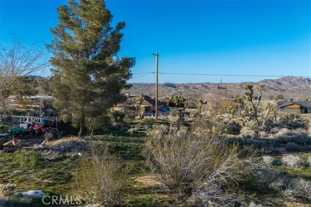 60432 Latham Trail, Joshua Tree, CA 92252 - #3