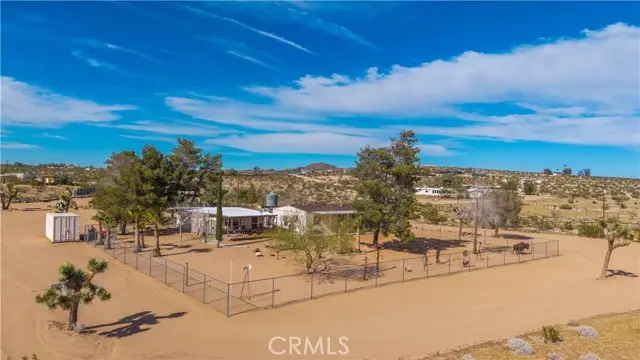 3040 Colabgo, Joshua Tree, CA 92252 - #1