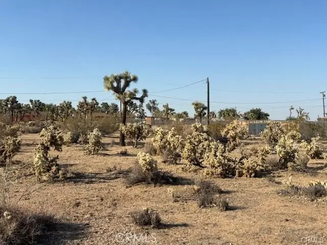 0 Sun Via Drive, Yucca Valley, CA 92284 - #3
