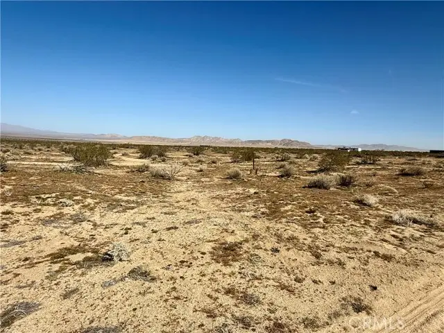 14 Datura Terrace, Landers, CA 92285 - #2