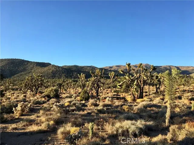 26 Vista Road, Lucerne Valley, CA 92356 - #1