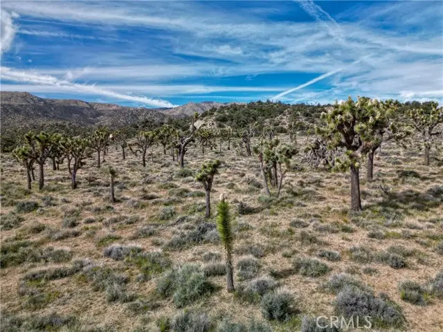27 Vista Road, Lucerne Valley, CA 92356 - #3
