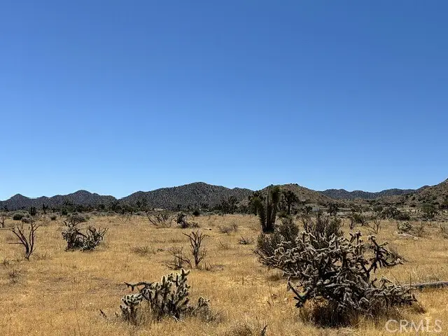 58225 San Andreas Road, Yucca Valley, CA 92284 - #2