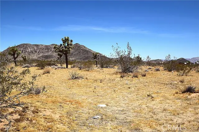 0 Philippi Lane, Landers, CA 92285 - #3